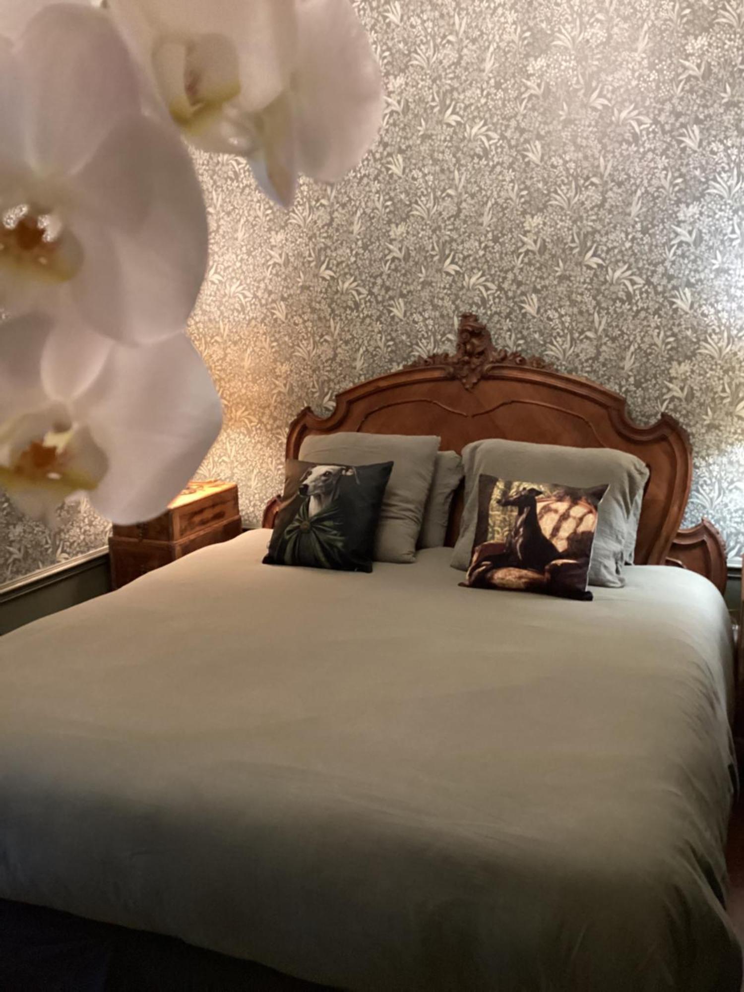 Le Clos De L'Ane Dentelle 韦扎克 外观 照片